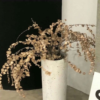 隆林FurryQQ群介绍